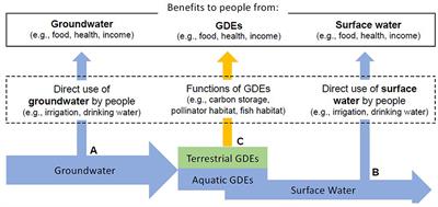 Ecosystem services produced by groundwater dependent ecosystems: a framework and case study in California